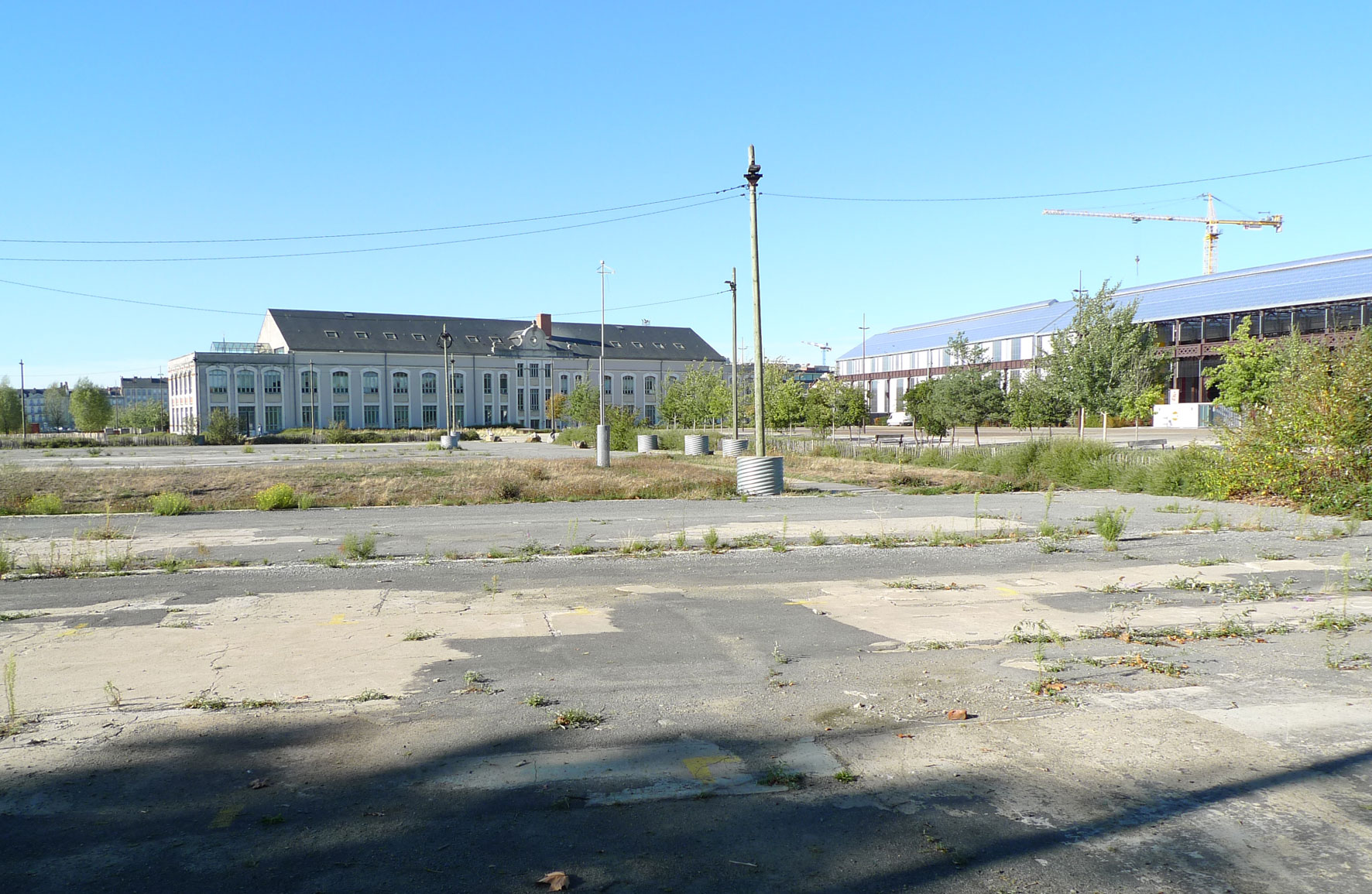 Aimé Césaire School Landscape