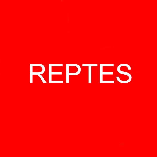 Reptes